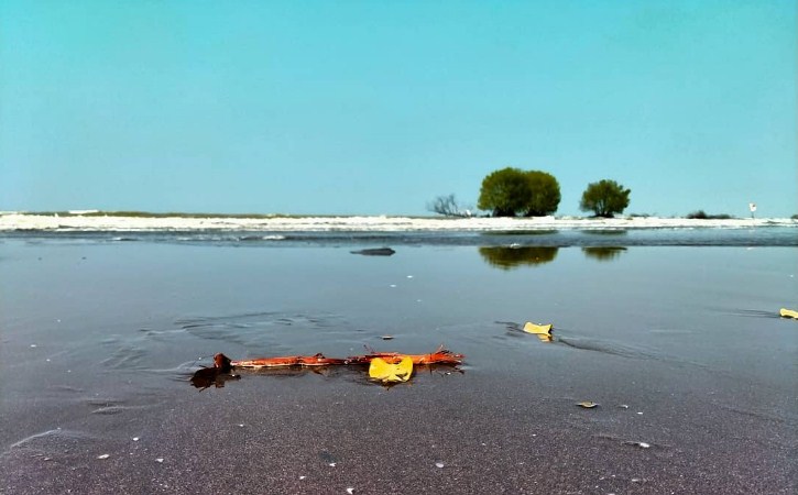 Rute Perjalanan Ke Pantai Muara Gembong Rute Perjalanan Ke Pantai Muara Gembong